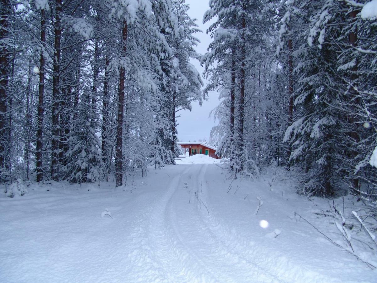 Northern Lights Lapland Villa Hosio Esterno foto